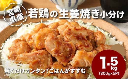 宮崎県産若鶏の生姜焼き 小分け 1.5kg K16_0131