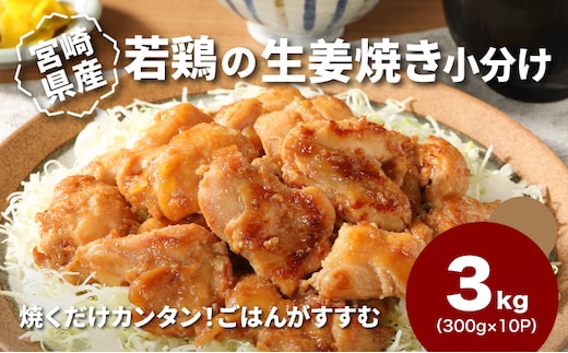 宮崎県産若鶏の生姜焼き 小分け 3kg K16_0132