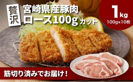 贅沢宮崎県産豚肉ロース100gカット10枚 K16_0149