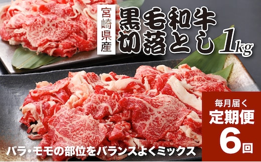 宮崎県産黒毛和牛 贅沢切り落とし1kg(500g×2)×6回定期便 K16_T015
