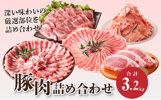 豚肉 詰め合わせ3.2㎏ K18_0040_5