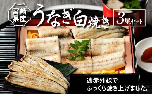 宮崎県産 うなぎ 白焼き 3尾セット K10_0010_3