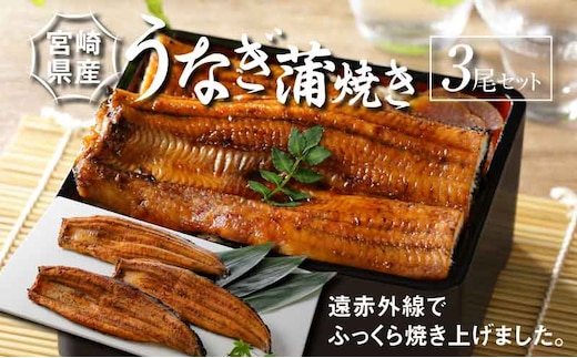 宮崎県産 うなぎ 蒲焼き 3尾セット K10_0009_3