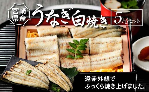 宮崎県産 うなぎ 白焼き 5尾セット K10_0012_2