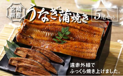 宮崎県産 うなぎ 蒲焼き 5尾セット K10_0011_2