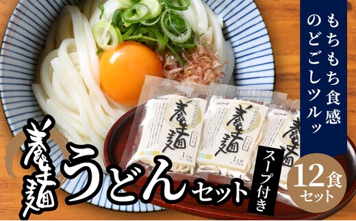 養生麺うどん詰合せ 12袋入り K10_0002_2