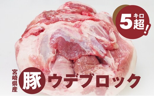 宮崎県産豚ウデブロック５kg超! 国産豚肉 ウデ肉 かたまり肉 5キロ 冷凍 大容量 ブロック肉 塊肉 大きい お好みにカットできる 届いたらご自宅でカット 送料無料 K16_0014_10