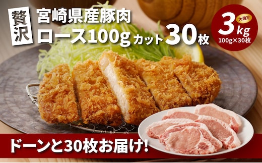 贅沢宮崎県産豚肉ロース100gカット30枚 K16_0018_2