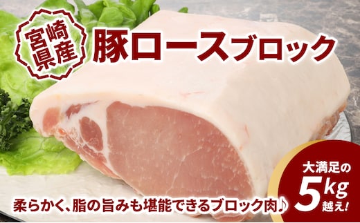 宮崎県産豚ロースブロック 5kg越え K16_0058_1