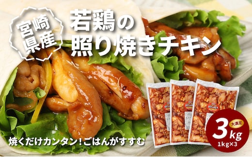 宮崎県産若鶏の照り焼きチキン K16_0059_2