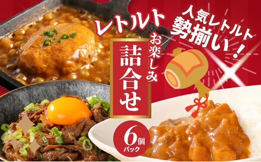福袋 お楽しみレトルト詰め合わせ6パックセット _K16_0072_2