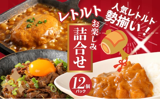 福袋 お楽しみレトルト詰め合わせ12パックセット _K16_0073_3