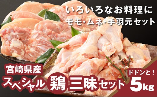 宮崎県産鶏 スペシャル鶏三昧5kgセット K16_0017_4