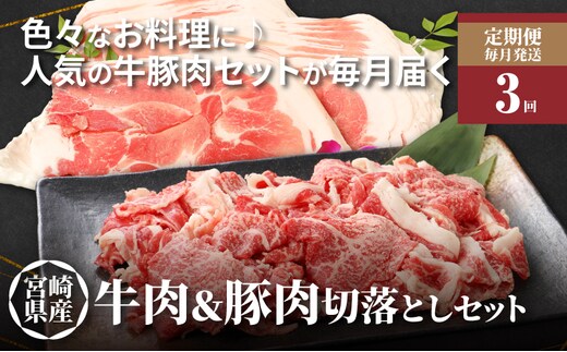 牛肉＆豚肉切り落としセット【3か月定期便】 K16_T004_3