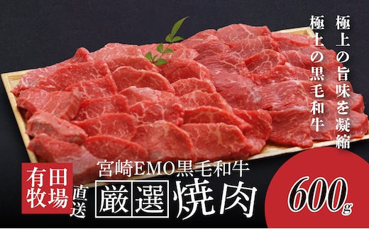 木城白木八重牧場育ちの黒毛和牛厳選焼肉 600ｇ K20_0012_3