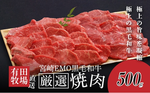 木城白木八重牧場育ちの黒毛和牛厳選焼肉500g_K20_0012_5