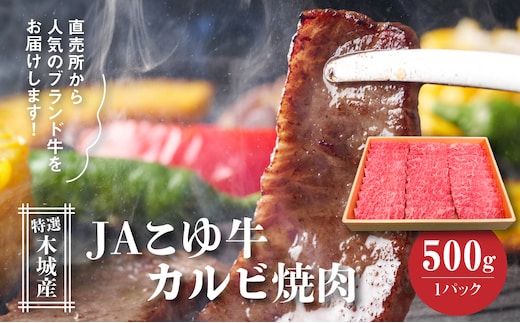 JAこゆ牛 特選木城産 カルビ500g 焼肉用 K56_0006