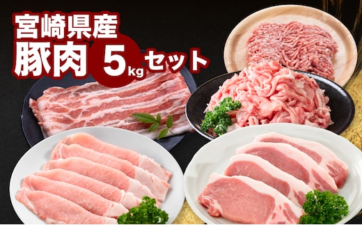 宮崎県産豚肉5kgセット K65_0006
