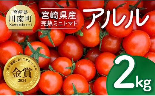 宮崎県産完熟ミニトマト「アルル」2kg 【 新鮮 アルル ミニトマト とまと 野菜 産地直送 宮崎県産川南町産 送料無料 】[C11802]