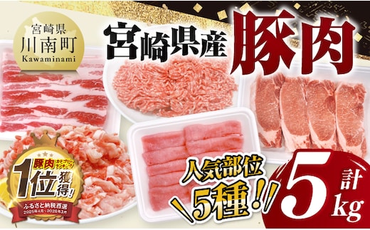 宮崎県産豚肉5種 5kg 【 豚肉 ぶた肉 肉 ロース バラ 切り落とし ミンチ 豚肉セット 】[C11629]