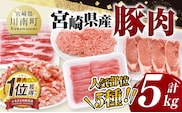 宮崎県産豚肉5種　5kg 【 豚肉 ぶた肉 肉 ロース バラ 切り落とし ミンチ 豚肉セット 】[C11629]