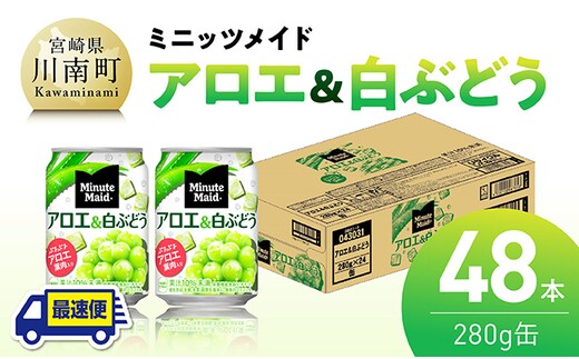 【最速便】ミニッツメイド「アロエ&白ぶどう」280g缶 48本（24本×2箱） 【 飲料 アロエ 白ぶどう 果汁 長期保存 】 [C11132-ss]
