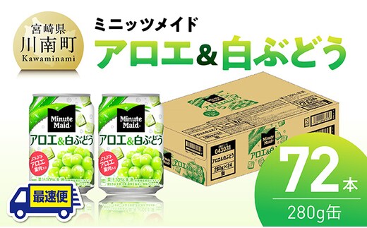 【最速便】ミニッツメイド「アロエ&白ぶどう」280g缶 72本（24本×3箱） 【 飲料 アロエ 白ぶどう 果汁 長期保存 】 [C11133-ss]
