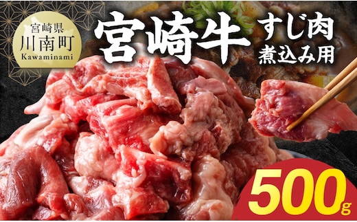 宮崎牛すじ肉煮込み用 500g 【 お肉 カレー シチュー 和牛 牛肉 宮崎牛 】 [B13210]