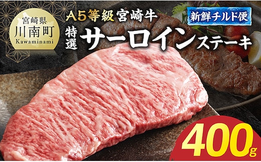 【A5等級】【新鮮チルド便】宮崎牛特選サーロインステーキ 400g 【 お肉 ステーキ 和牛 牛肉 宮崎牛 A5 】 [B13205]