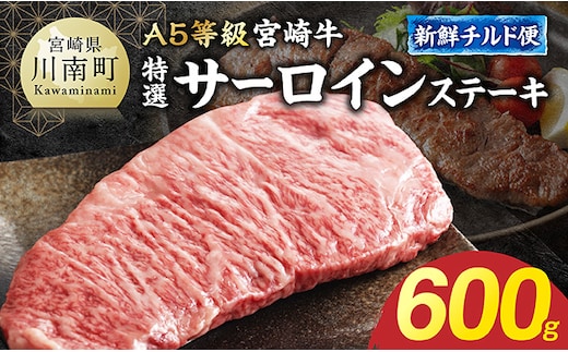 【A5等級】【新鮮チルド便】宮崎牛特選サーロインステーキ 600g 【 お肉 ステーキ 和牛 牛肉 宮崎牛 A5 】 [B13206]
