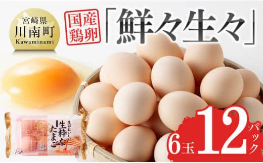 新鮮な生卵 「 鮮々生々セット 」 【 鶏卵 卵 鶏 たまご タマゴ 】 宮崎県川南町 [H1403]