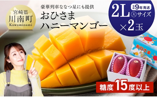 【令和9年発送】宮崎県産完熟マンゴー「おひさまハニーマンゴー」2L（大）×2玉 【 果物 フルーツ マンゴー 宮崎県産 完熟マンゴー みやざきマンゴー 先行予約 数量限定 期間限定 】[B03304]