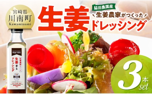 脇田農園産 生姜農家が作った生姜ドレッシング3本セット 【 生姜 ショウガ 国産 宮崎県産 九州産 川南町産 農家直送 しょうが ドレッシング 】 [C07001]