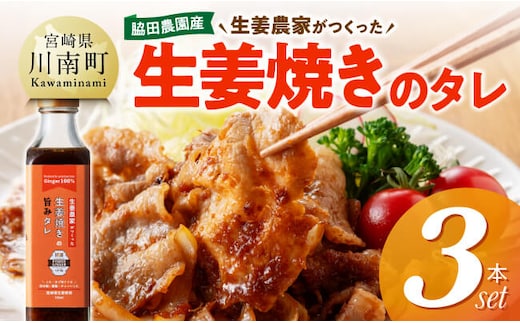 脇田農園産 生姜農家が作った生姜焼きのタレ3本セット 【 生姜 ショウガ 国産 宮崎県産 九州産 川南町産 農家直送 しょうが 生姜焼きのたれ 】 [C07002]