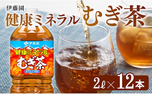 伊藤園 健康ミネラル むぎ茶 2L×6本×2ケースPET 【 飲料類 水分補給 ソフトドリンク お茶 麦茶 ペットボトル 】 宮崎県川南町［D07359］