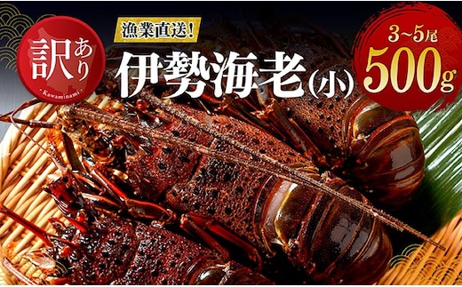 【訳あり！】【漁協直送！】冷凍伊勢海老（小）500g (3～5尾) 【 伊勢海老 イセエビ 訳あり 魚介 】 [B01707]