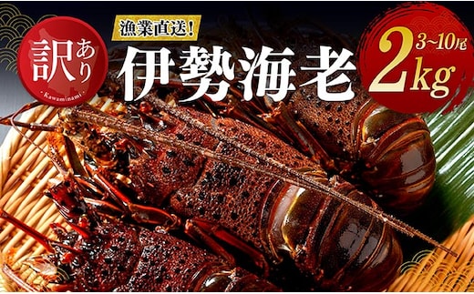 【訳あり！】【漁協直送！】冷凍伊勢海老2kg（3～10尾） 【 伊勢海老 イセエビ 訳あり 魚介 】 [B01709]