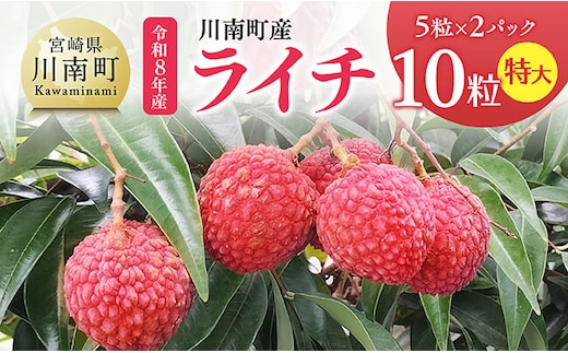 【令和8年産】川南町産ライチ（特大）10粒(5粒×2パック) 【 国産ライチ フルーツ デザート 宮崎県産 】 [B03201]