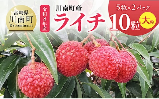 【令和8年産】川南町産ライチ（大粒）10粒(5粒×2パック) 【 国産ライチ フルーツ デザート 宮崎県産 】 [B03202]