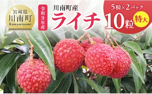 【令和9年産】川南町産ライチ10粒(5粒×2パック) 特大 【 国産ライチ フルーツ デザート 宮崎県産 】 [B03207]