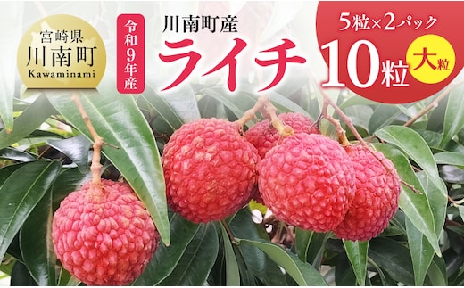 【令和9年産】川南町産ライチ10粒(5粒×2パック) 大粒 【 国産ライチ フルーツ デザート 宮崎県産 】 [B03208]