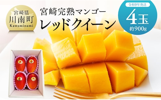 【令和9年発送】宮崎県産完熟マンゴー 「レッドクイーン」4玉(900g) 【 果物 フルーツ マンゴー 宮崎県産 完熟マンゴー みやざきマンゴー 先行予約 数量限定 期間限定 】 [B03210]