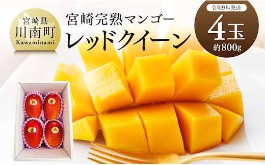 【令和9年発送】宮崎県産完熟マンゴー 「レッドクイーン」4玉(800g) 【 果物 フルーツ マンゴー 宮崎県産 完熟マンゴー みやざきマンゴー 先行予約 数量限定 期間限定 】 [B03211]