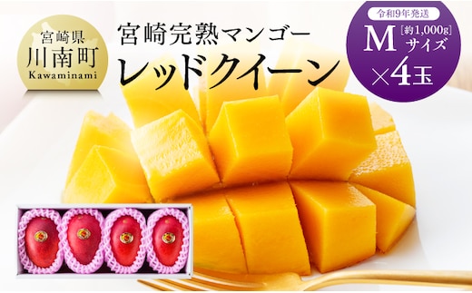 【令和9年発送】宮崎県産完熟マンゴー 「レッドクイーン」M×4玉 【 果物 フルーツ マンゴー 宮崎県産 完熟マンゴー みやざきマンゴー 先行予約 数量限定 期間限定 】［B03212］