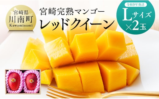 【令和9年発送】宮崎県産完熟マンゴー「レッドクイーン」L×2玉 【 果物 フルーツ マンゴー 宮崎県産 完熟マンゴー みやざきマンゴー 先行予約 数量限定 期間限定 】[B03213]