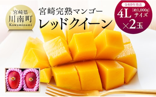 【令和9年発送】宮崎県産完熟マンゴー 「レッドクイーン」4L×2玉 【 果物 フルーツ マンゴー 宮崎県産 完熟マンゴー みやざきマンゴー 先行予約 数量限定 期間限定 】［B03218］
