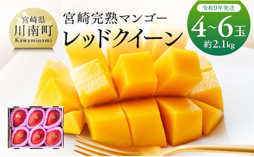 【令和9年発送】宮崎県産完熟マンゴー 「レッドクイーン」4～6玉 【 果物 フルーツ マンゴー 宮崎県産 完熟マンゴー みやざきマンゴー 先行予約 数量限定 期間限定 】［B03219］