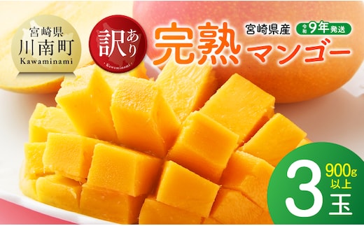 【令和9年発送】ご自宅用宮崎県産完熟マンゴー 3玉 900g以上 【 果物 フルーツ みやざきマンゴー 先行予約 】［B03221］