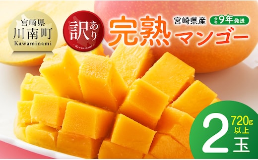 【令和9年発送】【宮崎県産】訳あり・ご自宅用 完熟マンゴー2玉 【 果物 フルーツ マンゴー 宮崎県産 みやざきマンゴー 訳あり 先行予約 数量限定 期間限定 】 [B03717]