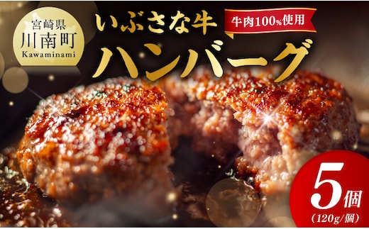【川南町産】ブランド和牛 いぶさな牛ハンバーグ120g×5個 【 宮崎県産 牛 ハンバーグ 黒毛和牛 】[B05301]